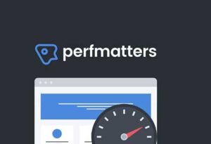Plugin Perfmatters - Jahreslizenz